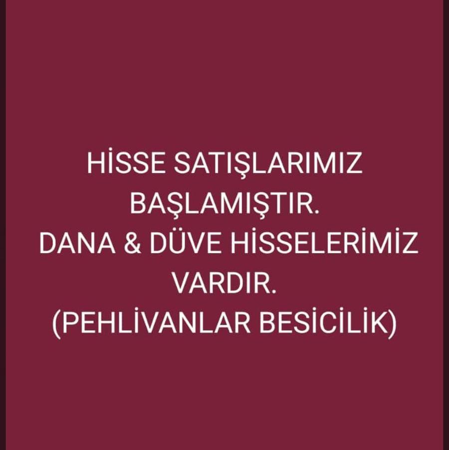 Pehlivanlar Besicilik